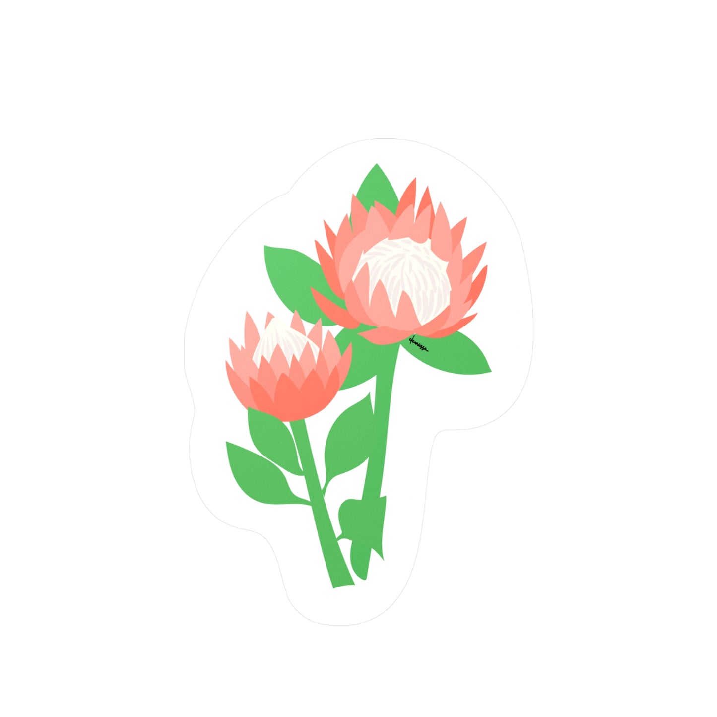 King Protea Decal Sticker