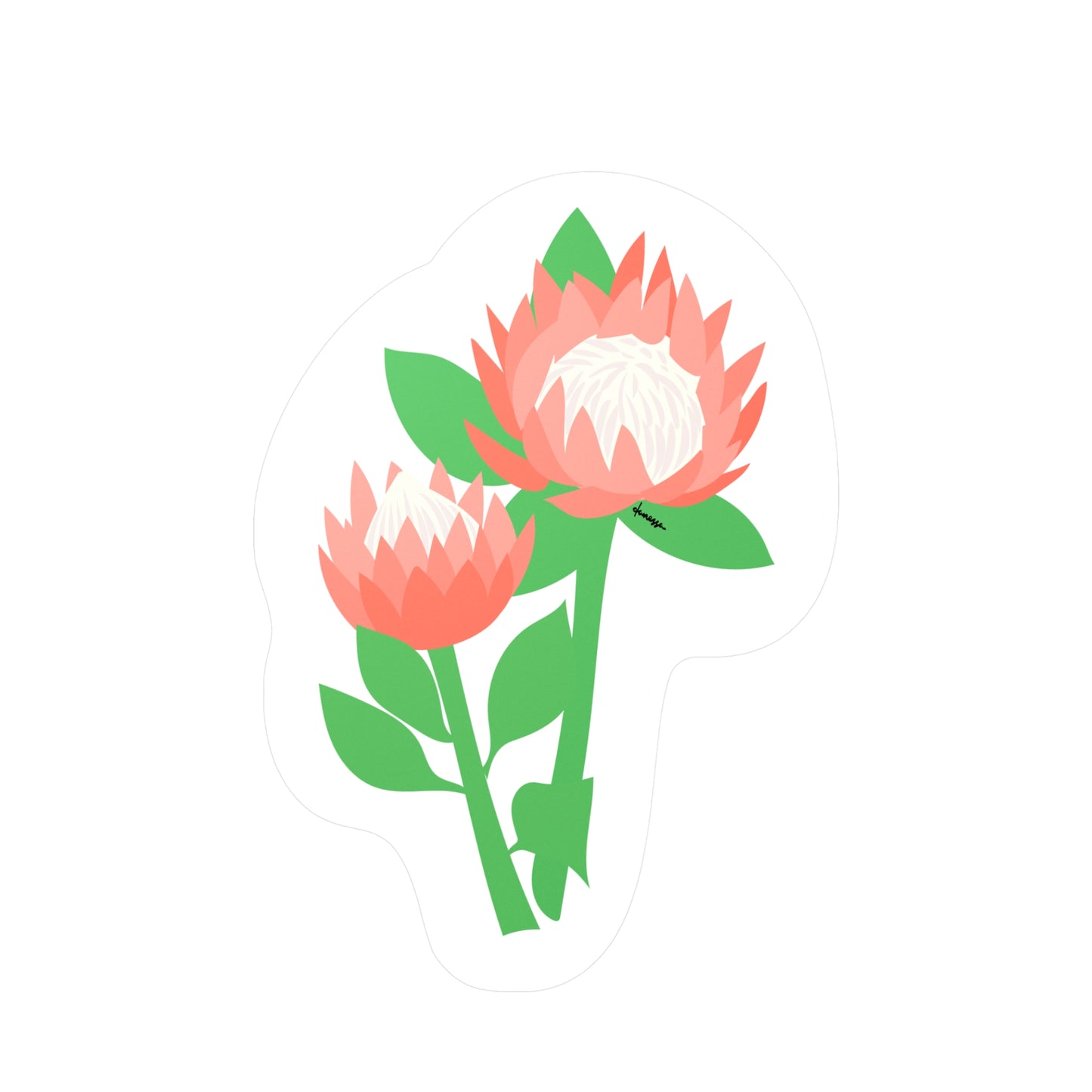 King Protea Decal Sticker