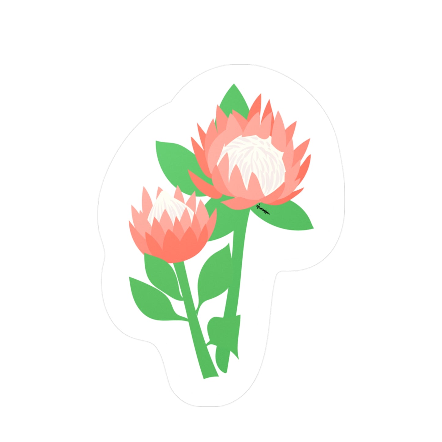 King Protea Decal Sticker