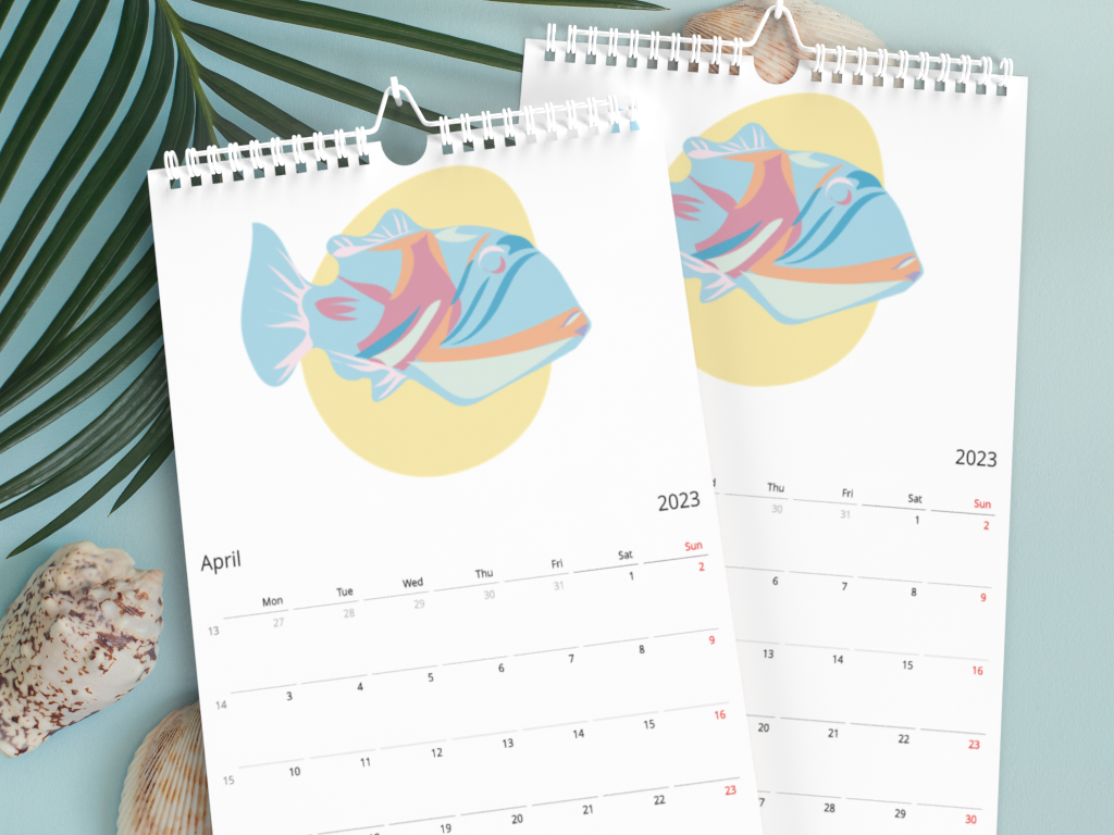 2023 DANESSA Marine Life Wall calendar