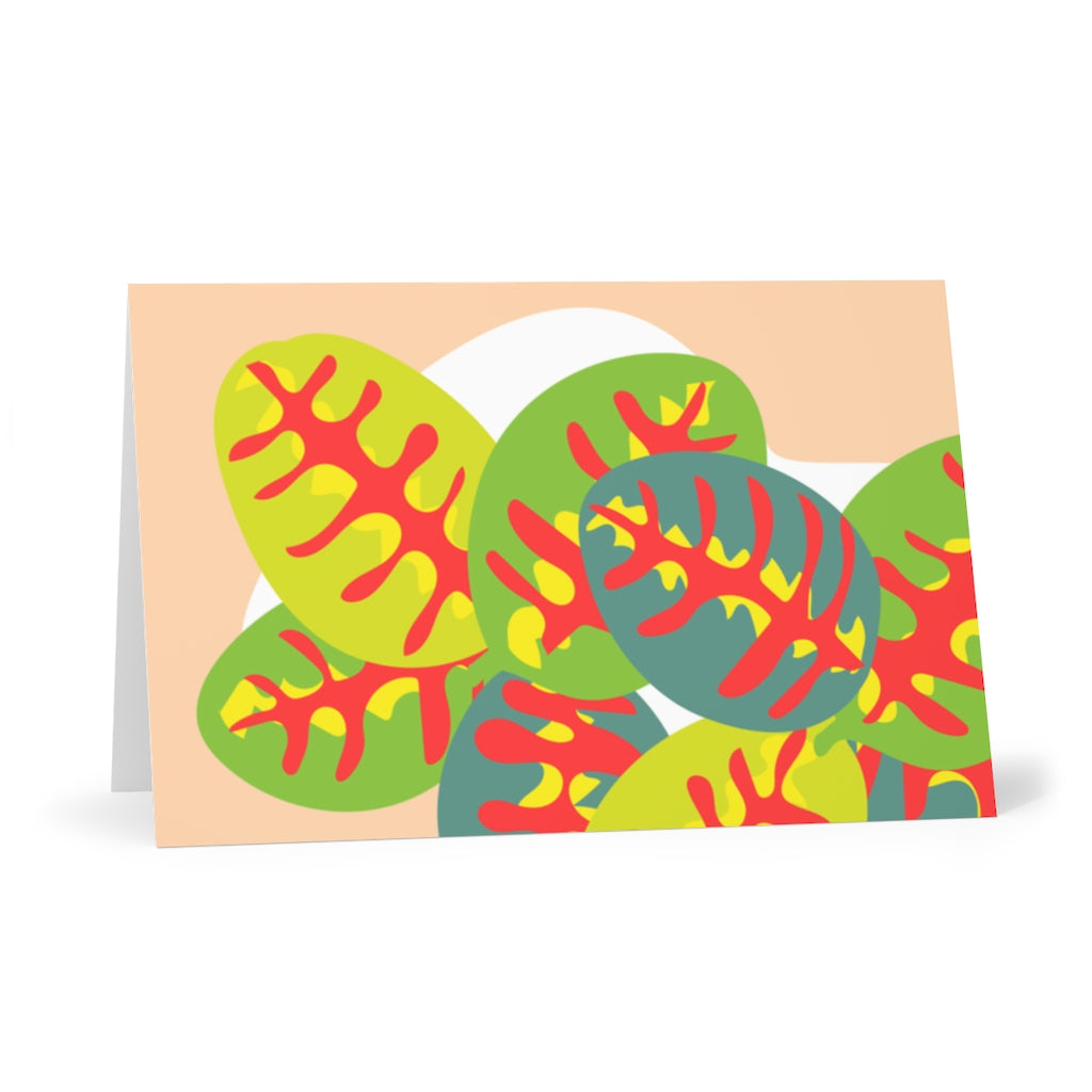 Maranta Greeting Cards (7 pcs)