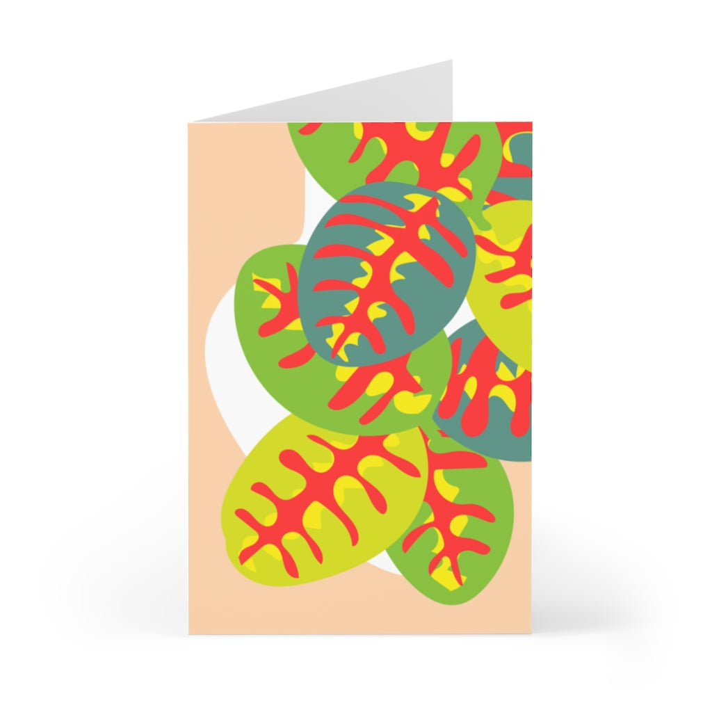 Maranta Greeting Cards (7 pcs)