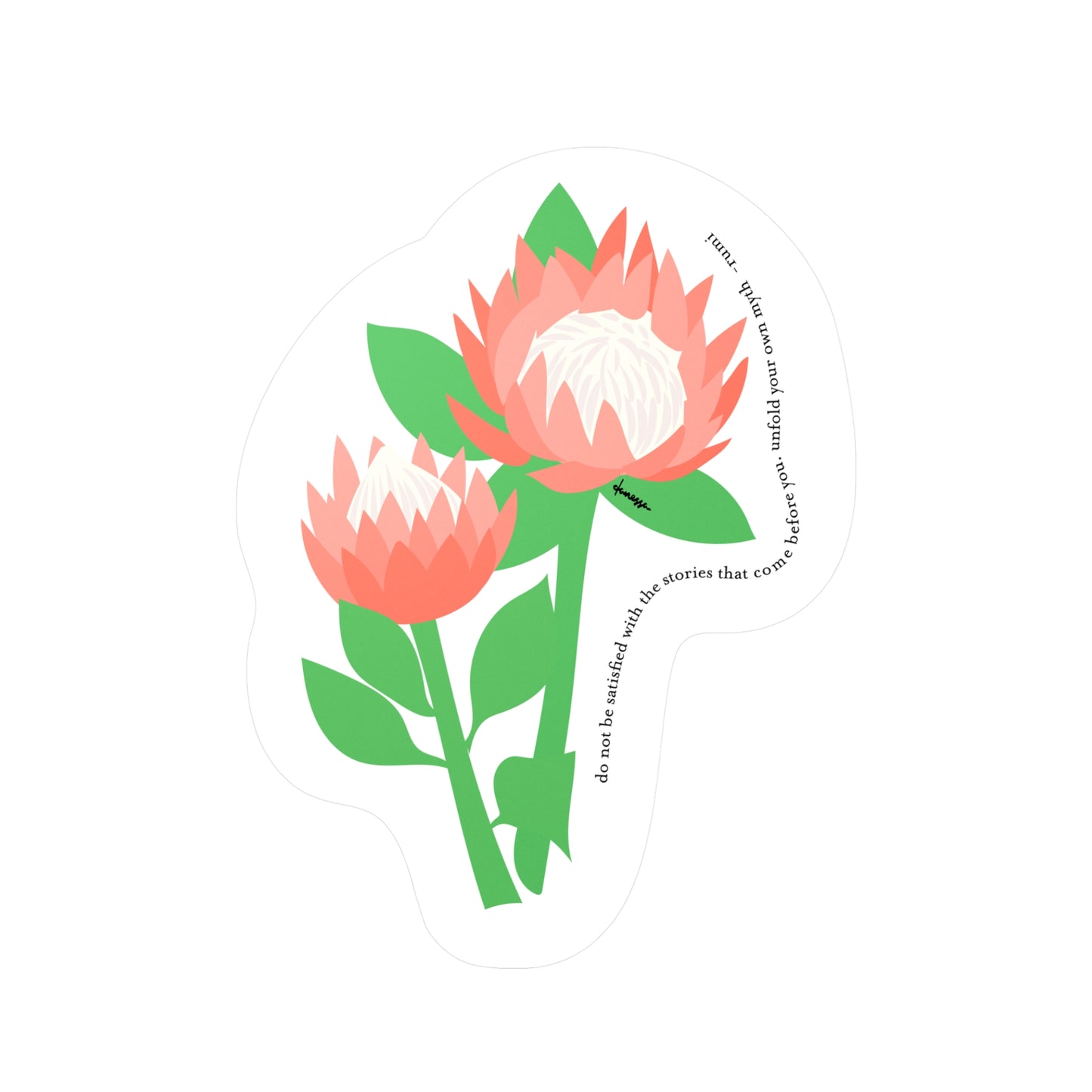 King Protea Decal Sticker